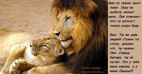 Ирина Ростовская