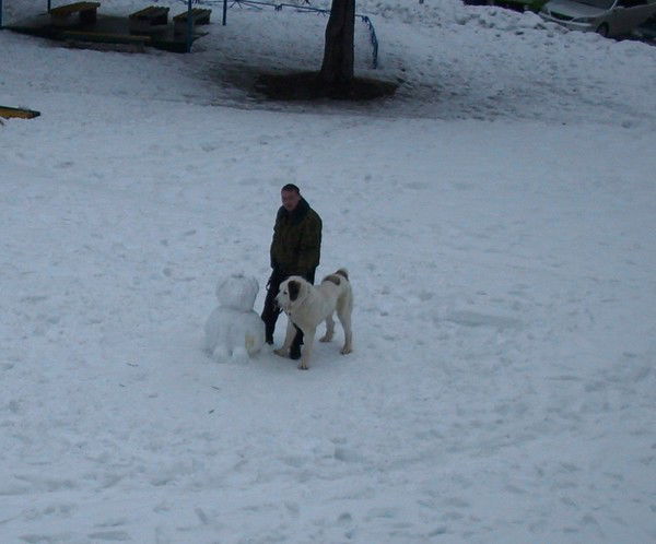 Сергей Карпенко