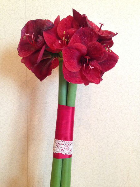 Максим Афанасьев