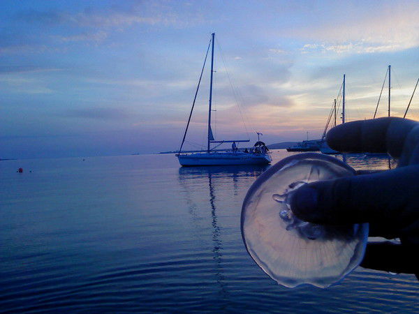 Дмитрий Чернов