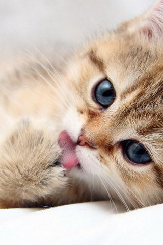 Наталья Суринова