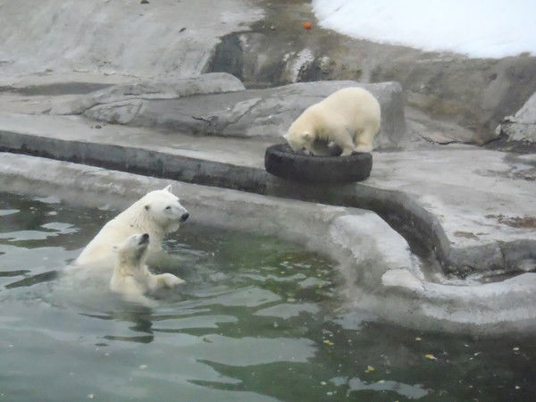 Екатерина Бежнарь