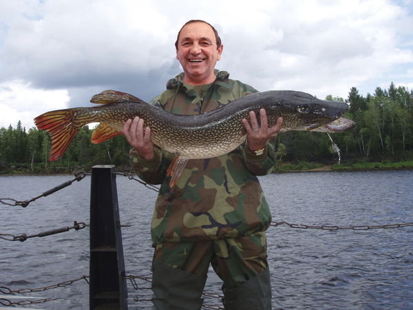 Сергей Погорелов