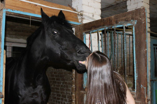 Эльмира Волкова