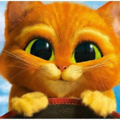 Денис Достовалов