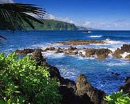 Альберт Салахов