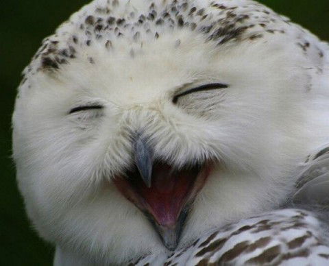 Ирина Бухарова