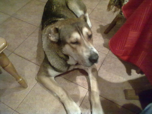 *** Эрнест ***