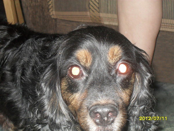 Марина Нестеренко