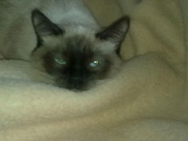 Татьяна Олейникова