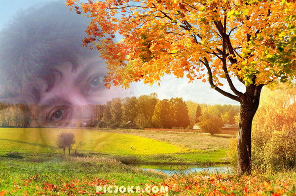 Елена Пасечник