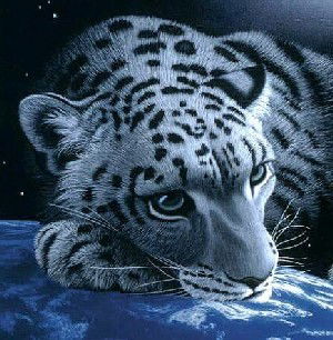 Елена Пяткова