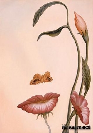 Анна Волковойнова