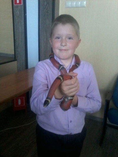 Макс Аксёнов