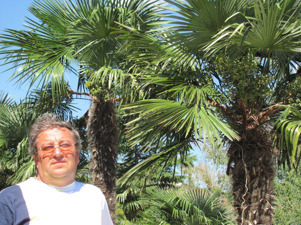 Анатолий Ищенко