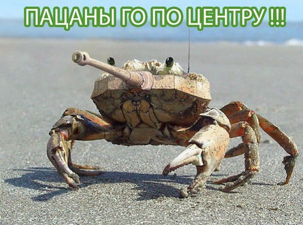 Какимбек Арафат