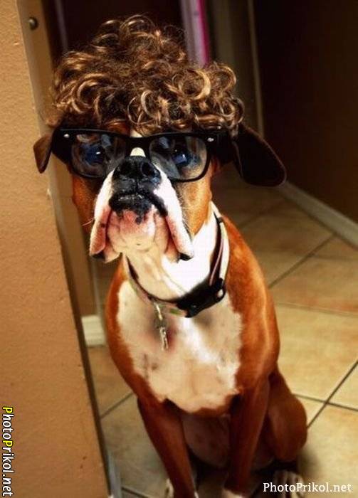 Оксана Козлова