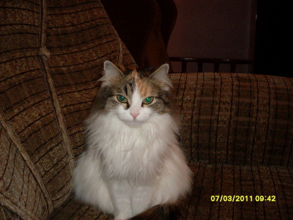 Лидия Вышлова