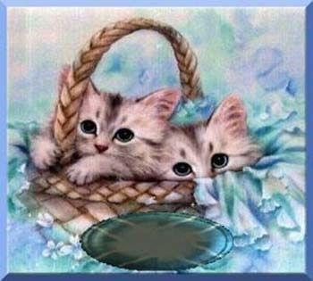 Наталья Параева