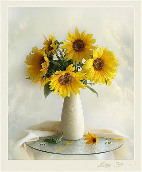 Руссо Туристо