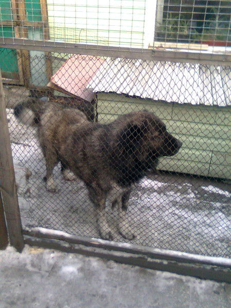 Федор Леоненко