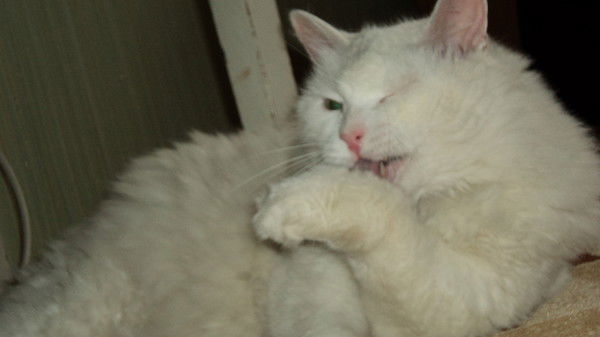 Денис Иванов