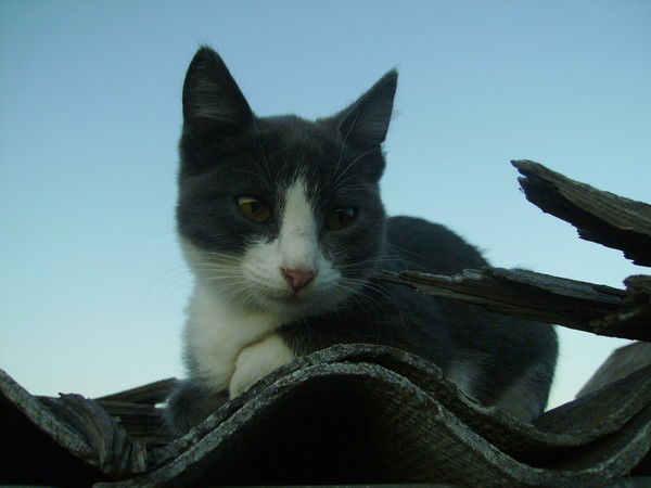 Мария Щекалёва