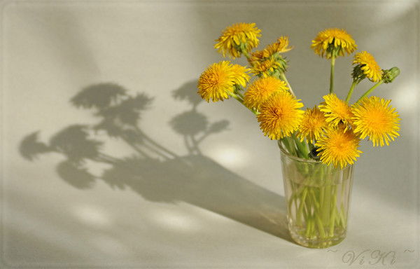 Наталья Довбняк