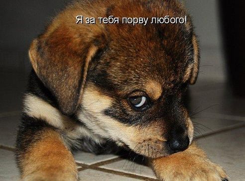 Неизвестно Неизвестно