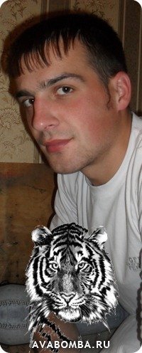 Михаил Данилевич