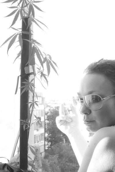 Екатерина Эбель