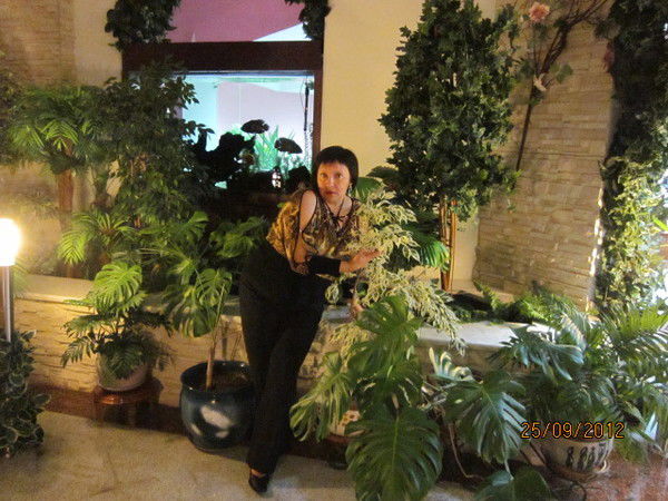 Елена Антипова