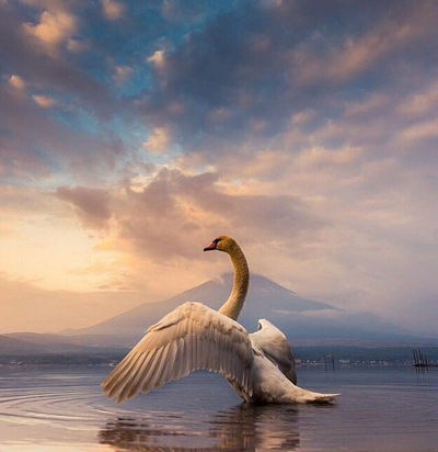 Софья Ковалева