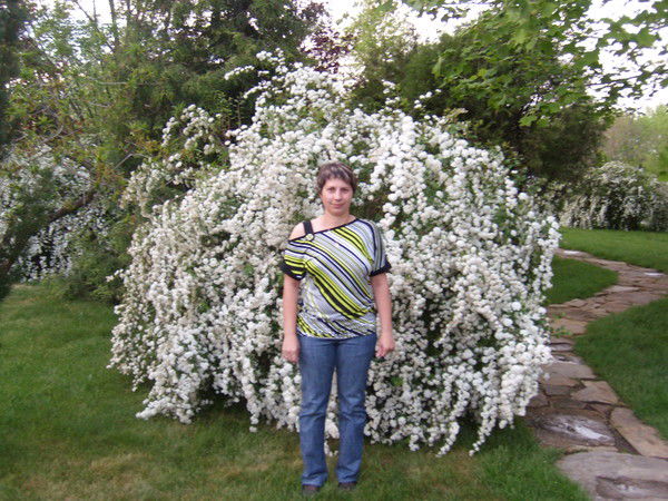 Лариса Лысенко