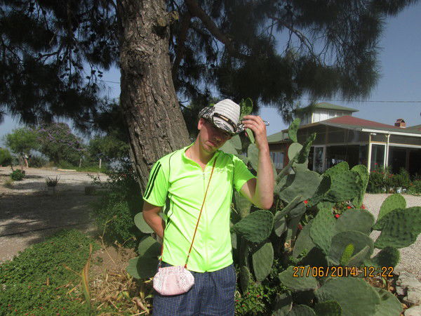 Алексей Маликов