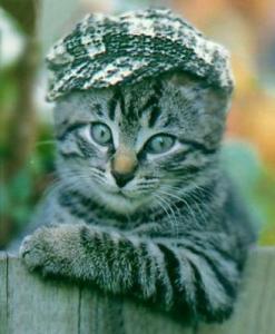 Алексей Генкин