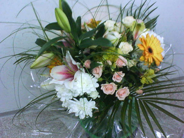 Елена Ябурова