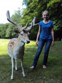 Аня Горкунова