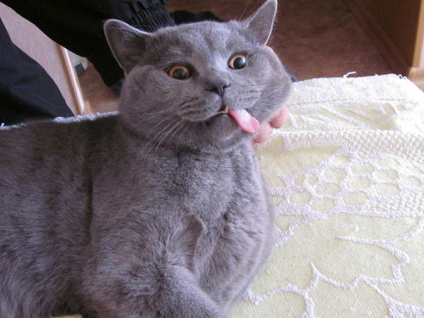 Сергей Умеренков