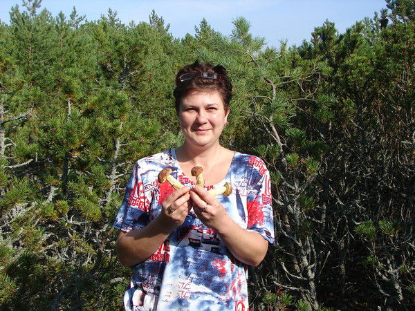 Елена Асташкина