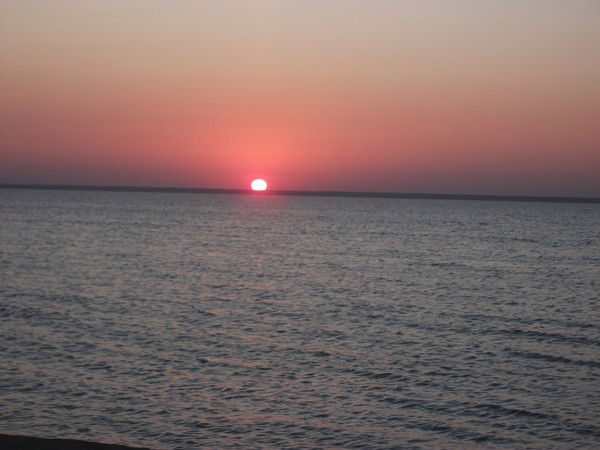 Елена Гурьянова