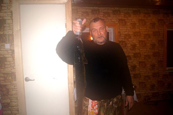 Александр Огнев