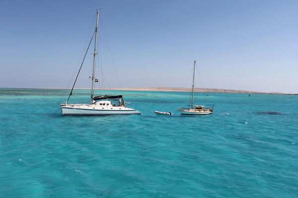 Екатерина Александрова