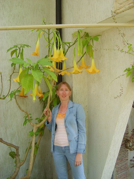 Галина Матвеева