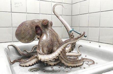 Сергей Шатров