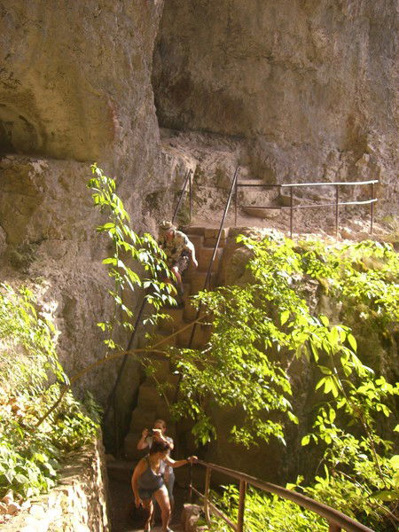 Елена Клименко