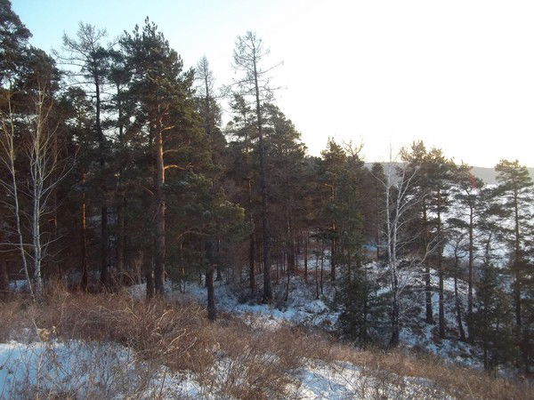 Александр Казарян