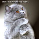 Оксана Попова