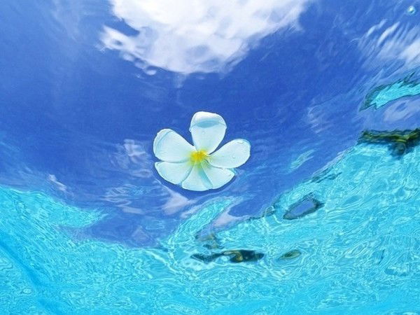 Людмила Изотова