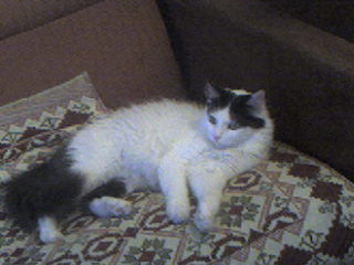 Антон Захаров